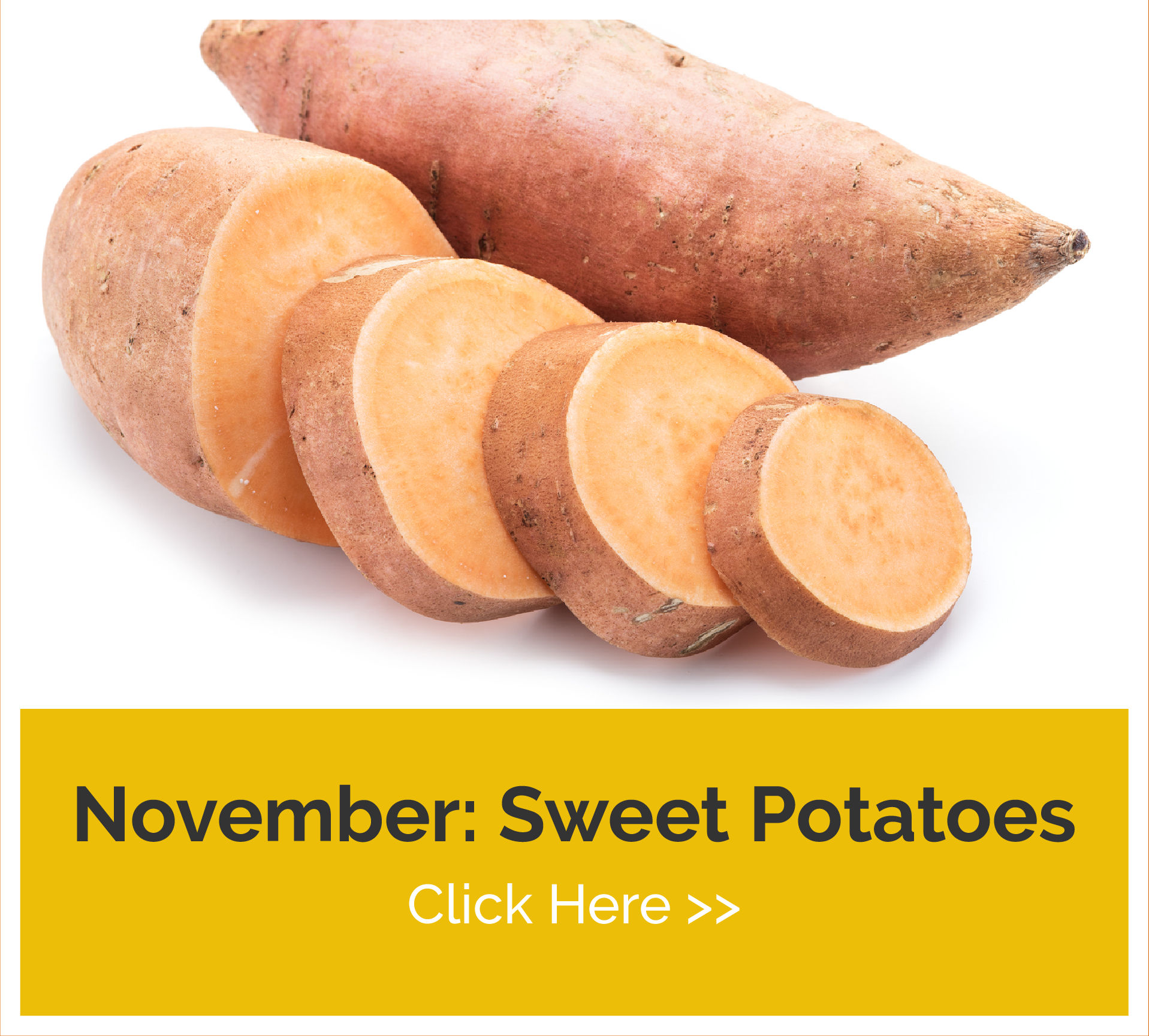 november sweet potatoes