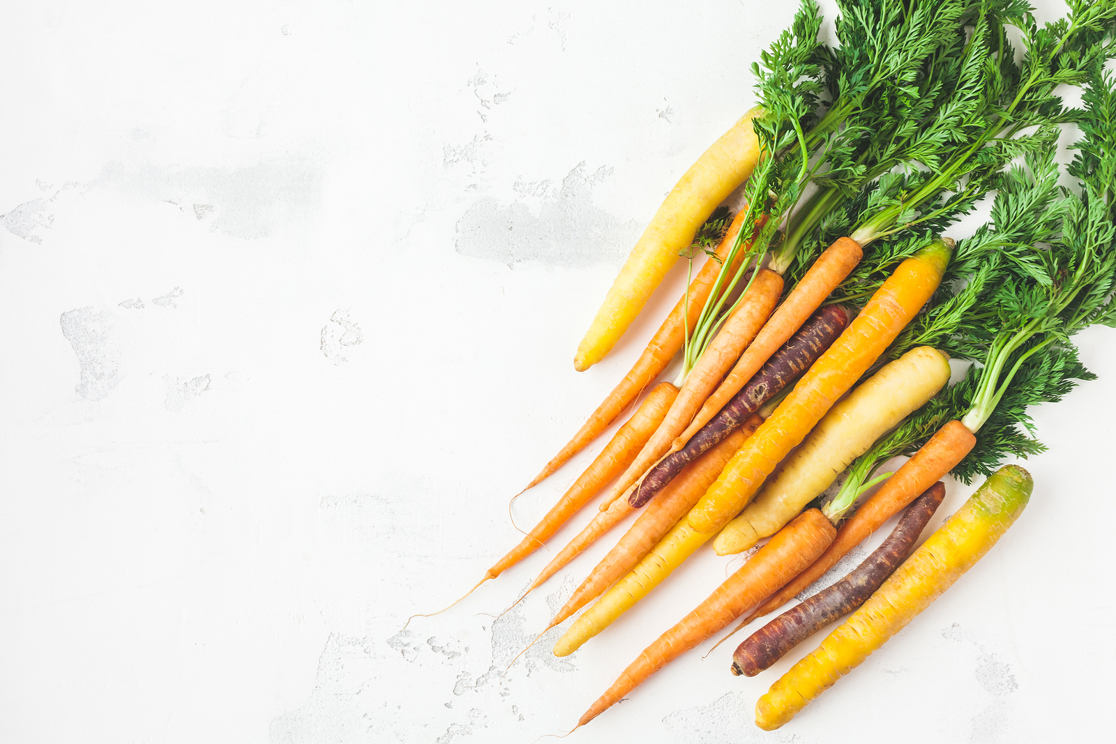 Carrots. Fresh colorful carrots on white background. Flat lay top view