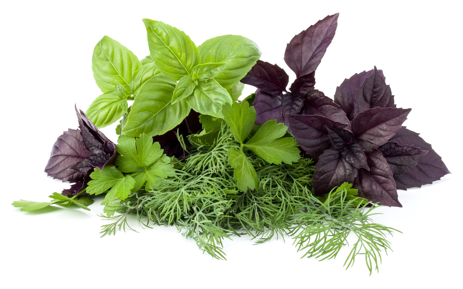 Carrots. Fresh colorful carrots on white background. Flat lay top view