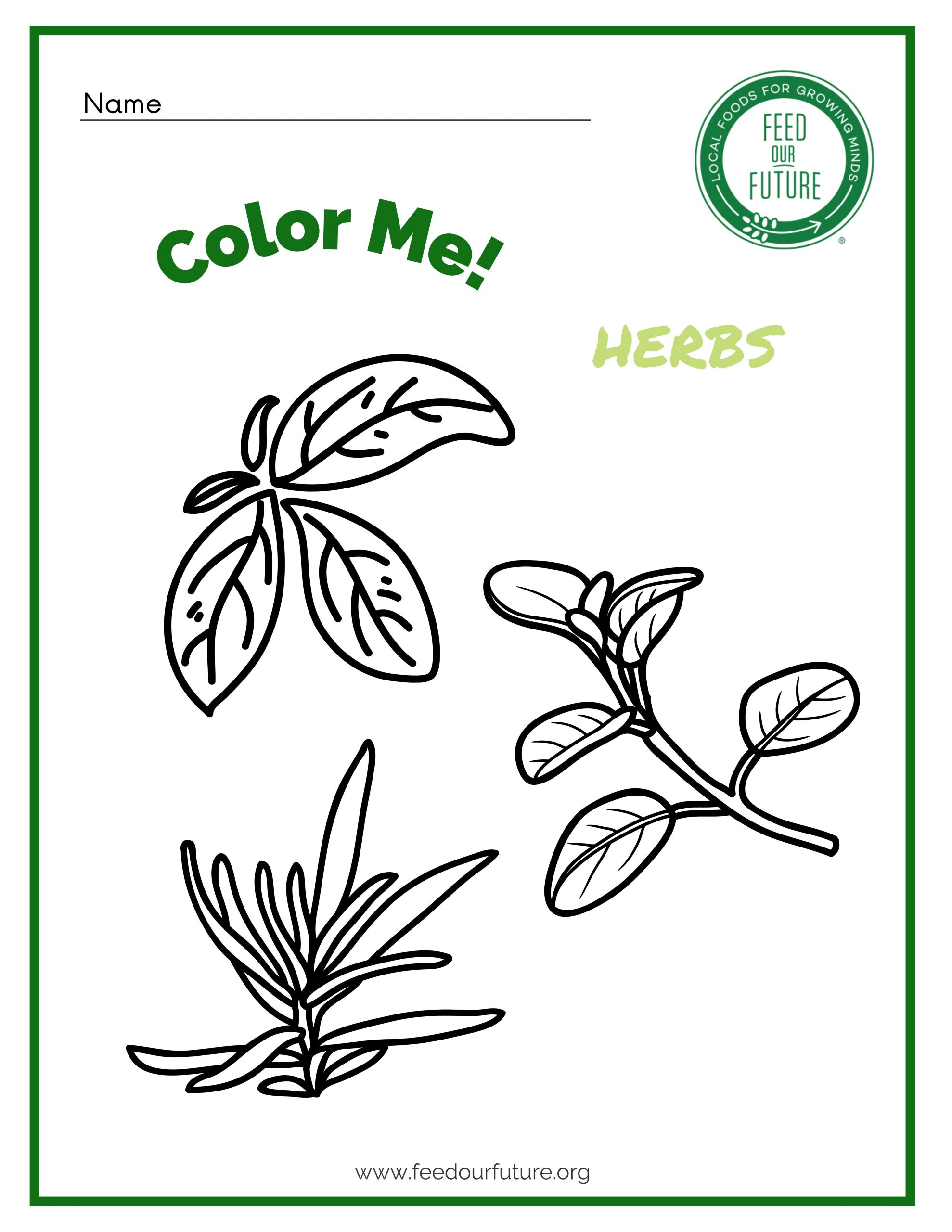 Herbs Coloring Sheet