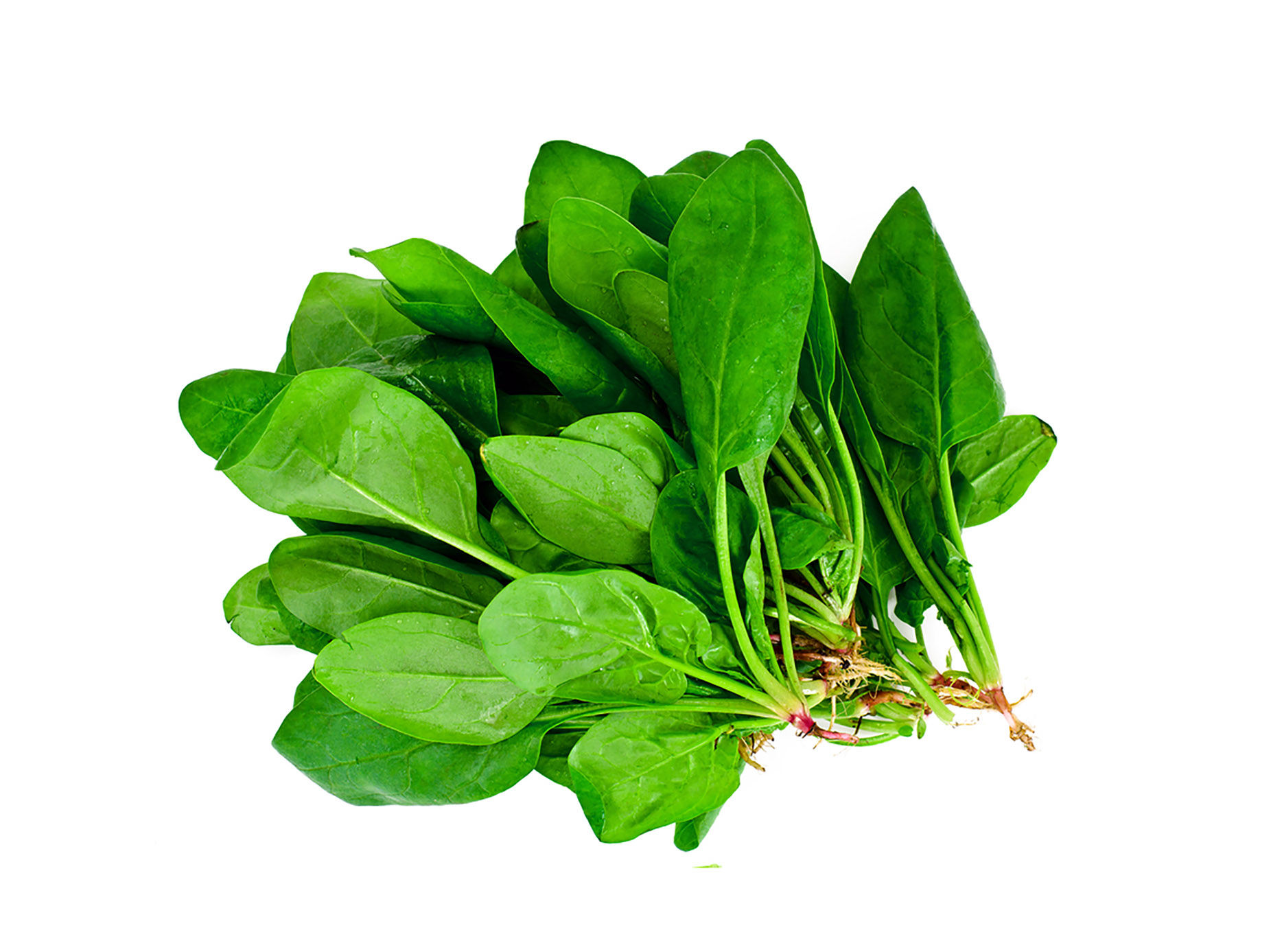 Carrots. Fresh colorful carrots on white background. Flat lay top view