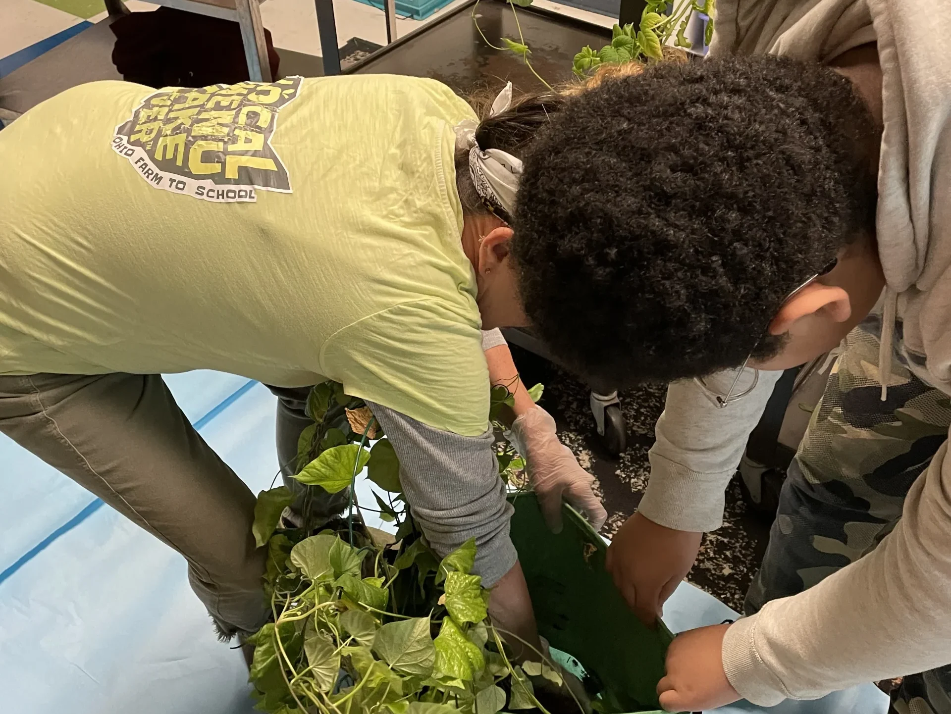 Students tending to potted plant