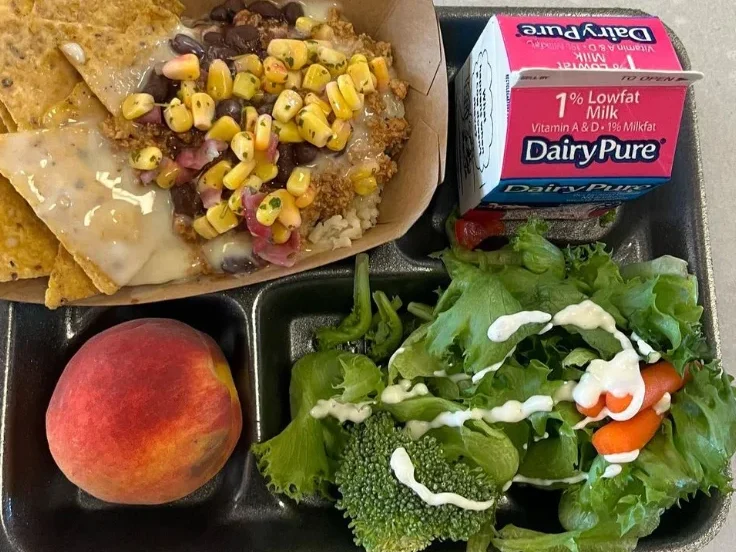 Tray of healthy food including nachos, milk, a peach, and salad